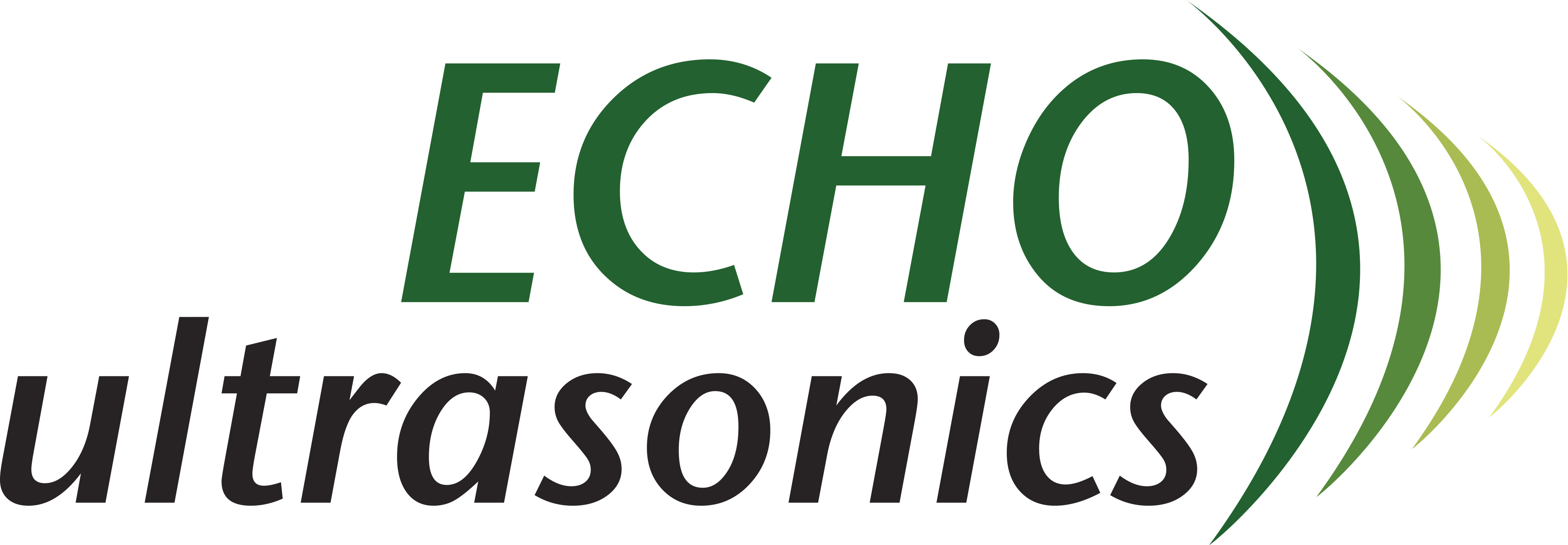 Echo ultrasonics